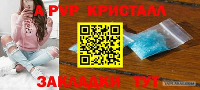 мяу мяу мука Нарткала