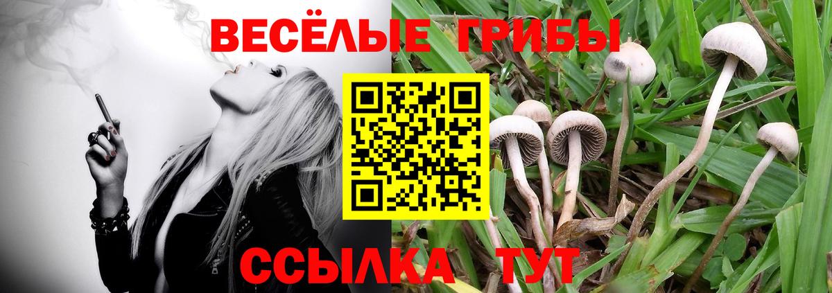 Галлюциногенные грибы Magic Shrooms Тамбов